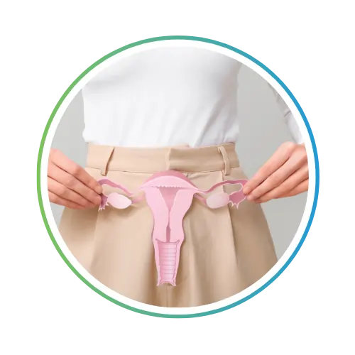 Cycle & Hormonal Health Guidance