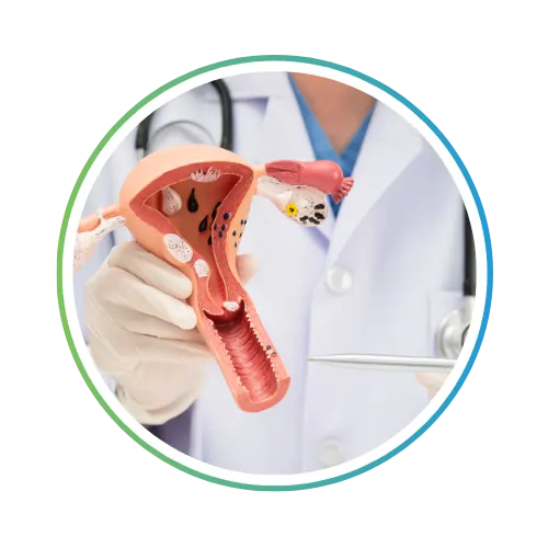 Gynecology Check-ups